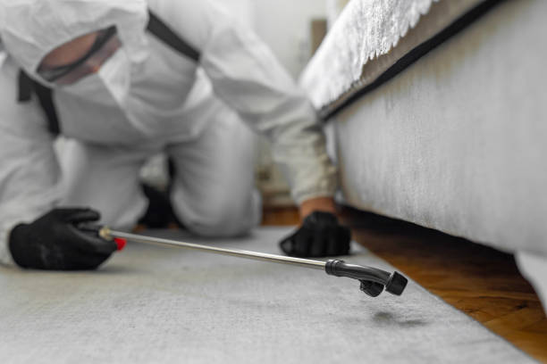 Professional Bed Bug Control technician working in East Wenatchee, WA