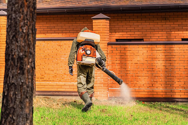 Trusted Mosquito Control service in East Wenatchee, WA - Nex Pest Control